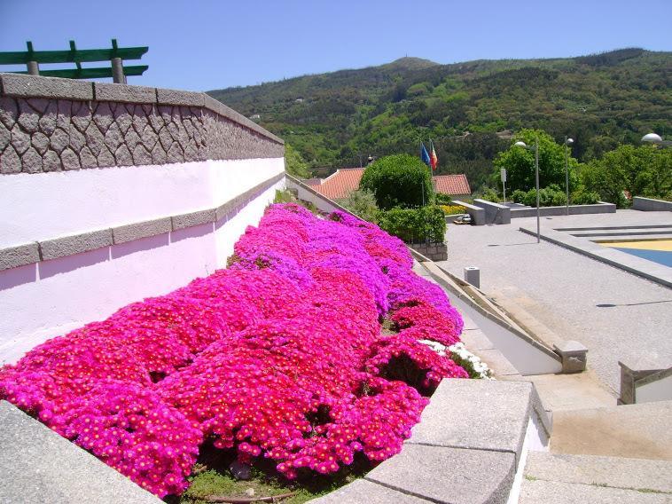 Miradouro Da Serra Monchique Exterior foto